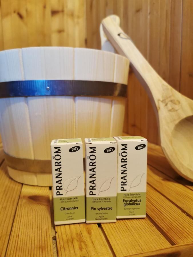 Ecrin Balneo Sauna A Thollon Διαμέρισμα Εξωτερικό φωτογραφία